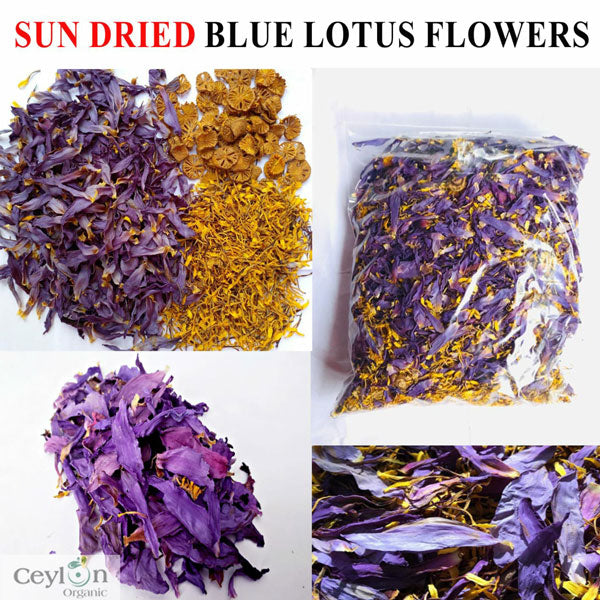 Blue Lotus Dried All Flower Tea 300g-2kg - Nymphaea Caerulea